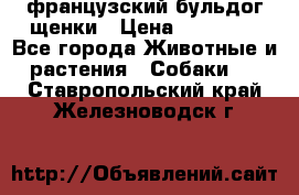 французский бульдог щенки › Цена ­ 50 000 - Все города Животные и растения » Собаки   . Ставропольский край,Железноводск г.